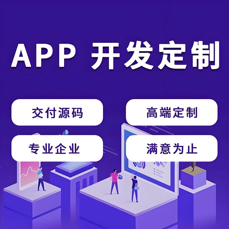 在数字化时代，企业网站不仅是对外展示品牌形象的重要窗口，更是推动业务增长的关键工具。那么，如何选择一个适合自己的企业网站呢？本文将通过具体案例对比分析，帮助您了解不同定制方式的优缺点。